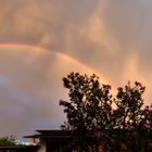 Regenbogen über meiner Magnolie