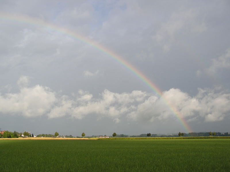 Regenbogen über Mettenheim