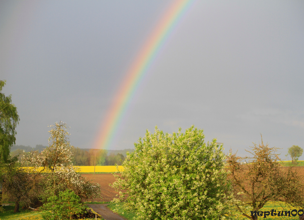 Regenbogen über Oberschwaben