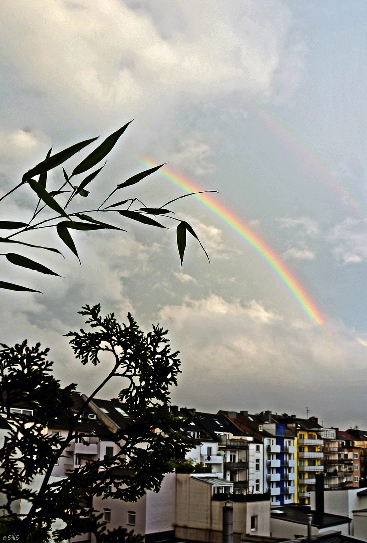 Regenbogen über Pempelfort