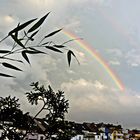 Regenbogen über Pempelfort