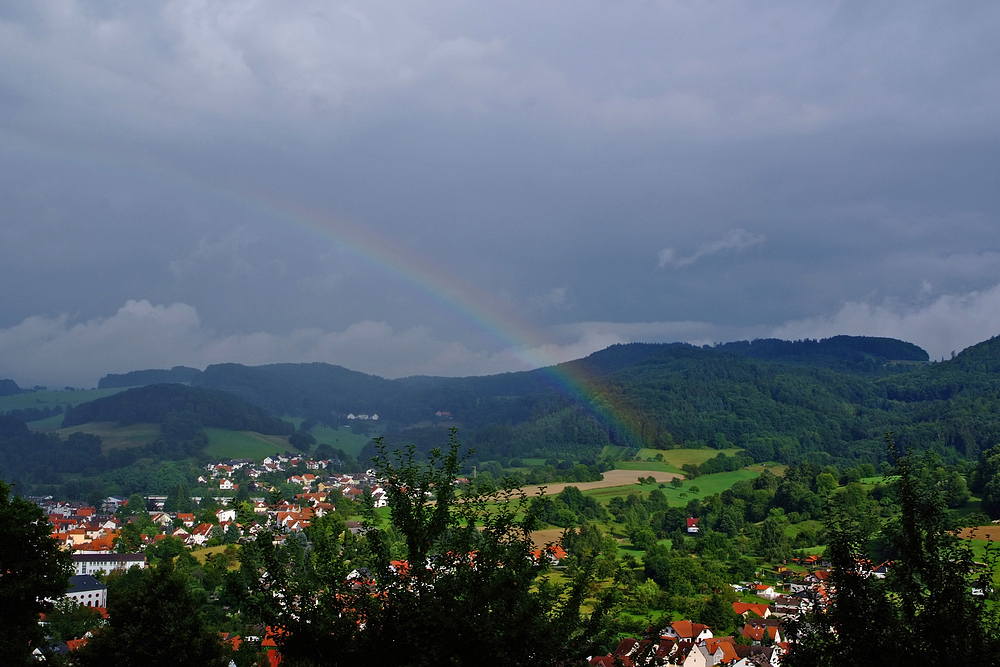 Regenbogen über Reichenbach