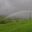 Regenbogen über Reisfelder