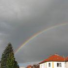 Regenbogen über Rimbach / Odw