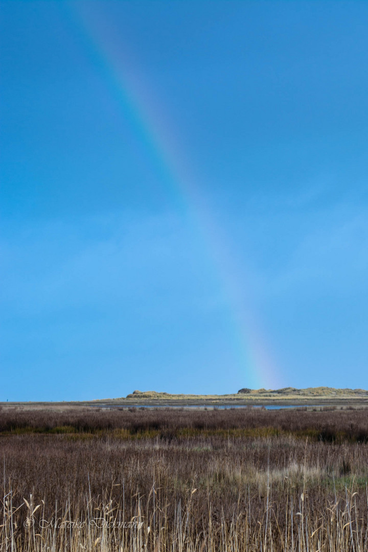 Regenbogen über Spiekeroog