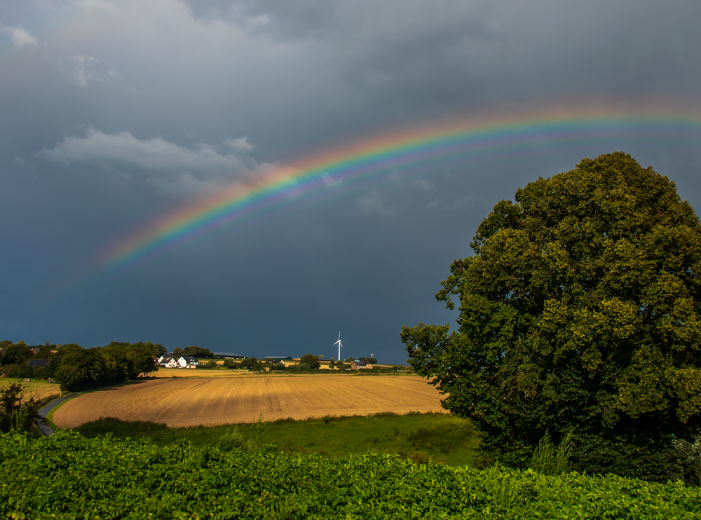 Regenbogen über Taubeneiche / Warstein