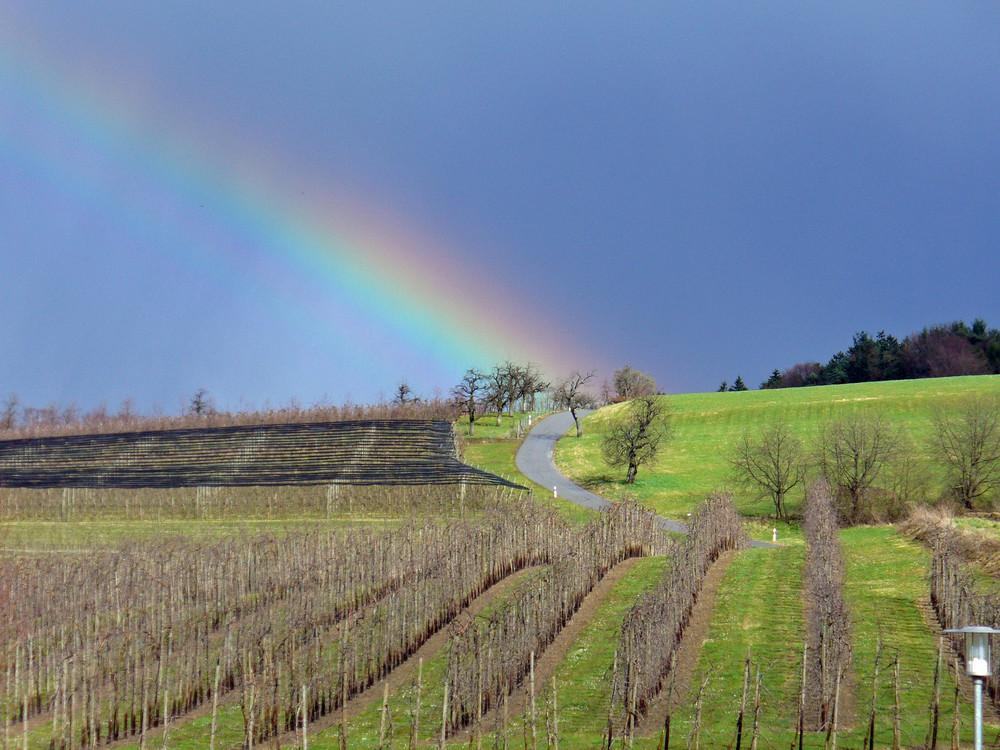 Regenbogen über Tettnang