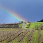 Regenbogen über Tettnang