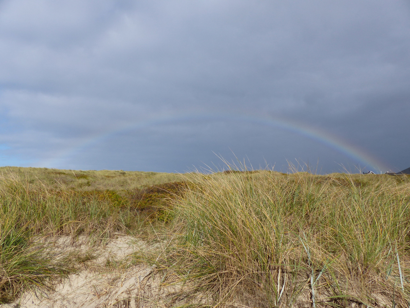 Regenbogen über Vejers Strand