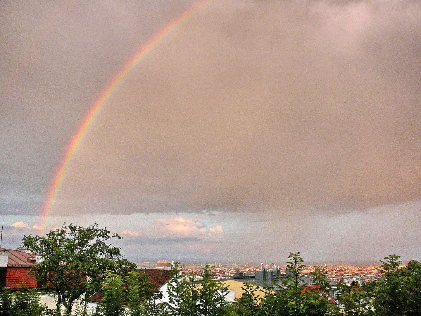 Regenbogen über Wien