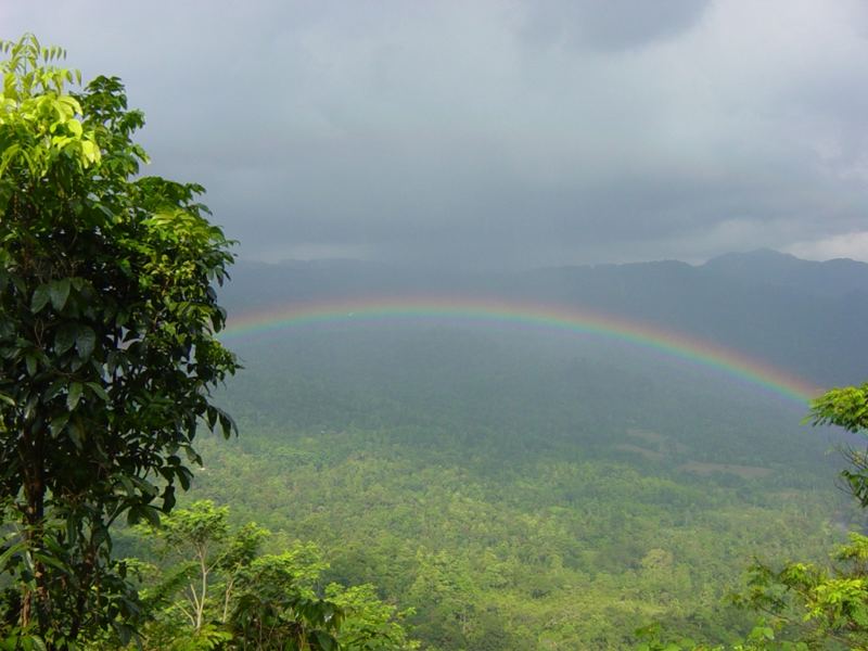 Regenbogen überm Regenwald