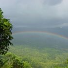 Regenbogen überm Regenwald