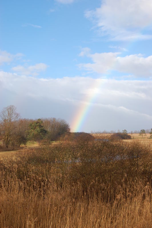 Regenbogen über´m Ried