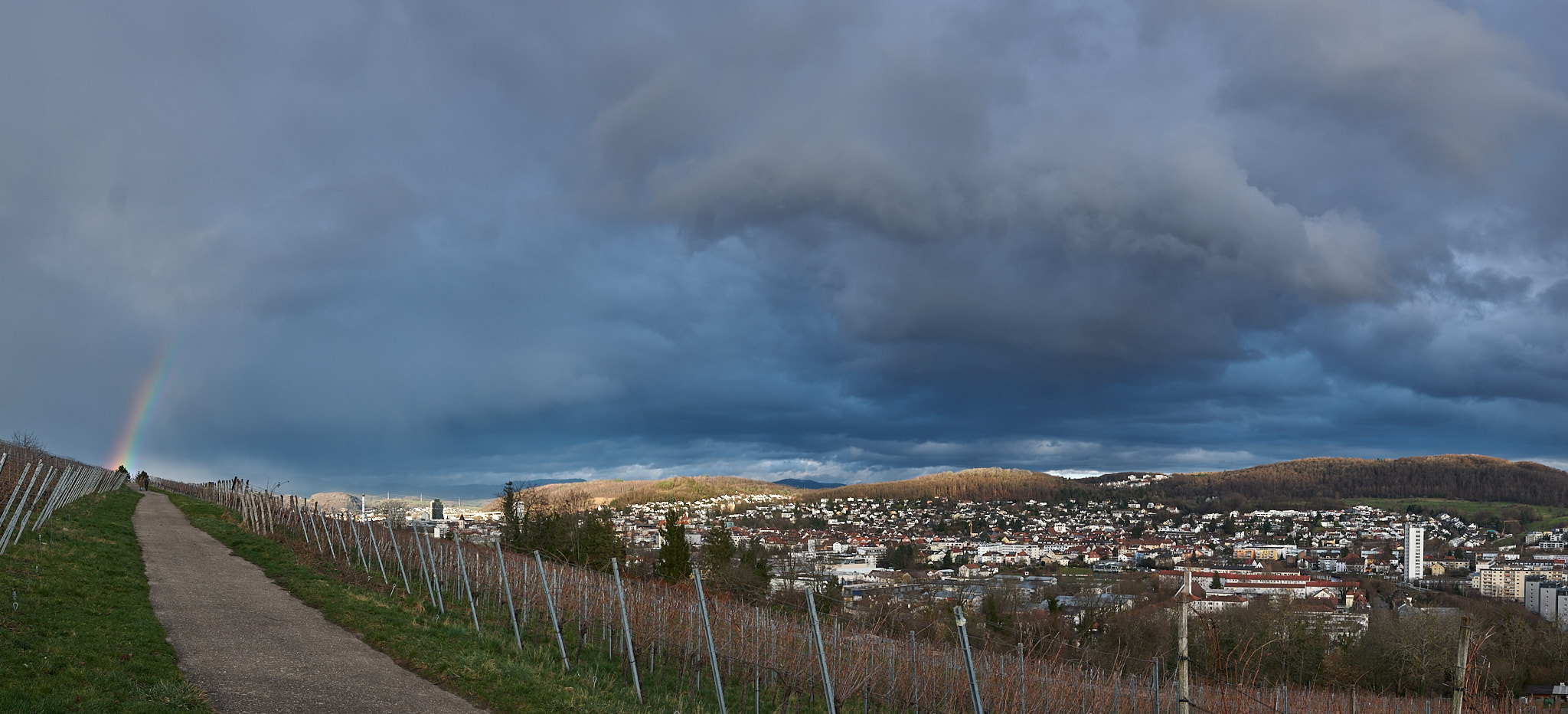 Regenbogen überm Tüllinger