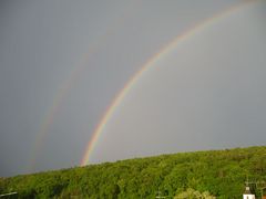 Regenbogen überm Wald