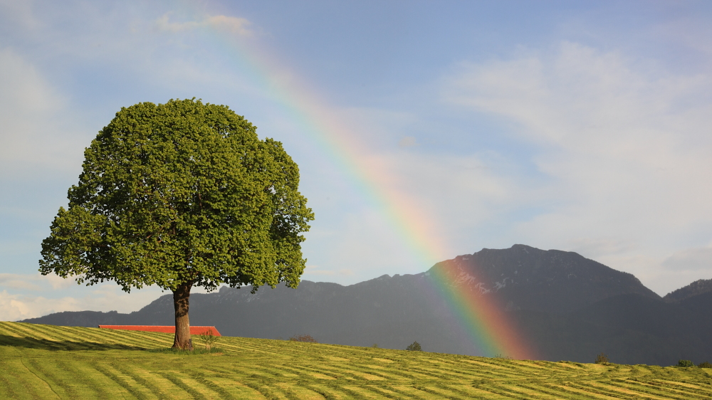 Regenbogen und Benediktenwand von Walter Seibold 