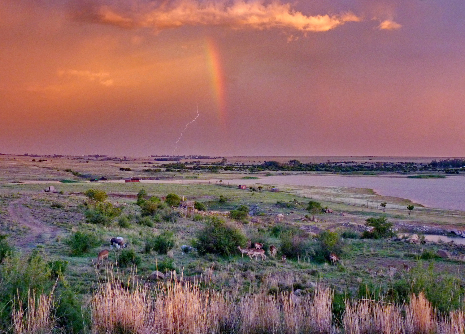 Regenbogen und Blitz im Abendlicht - Südafrika