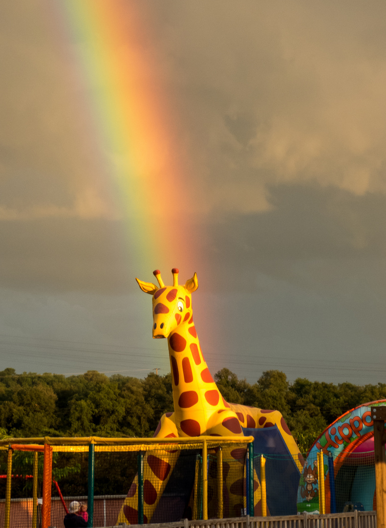 Regenbogen und Giraffe