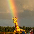 Regenbogen und Giraffe