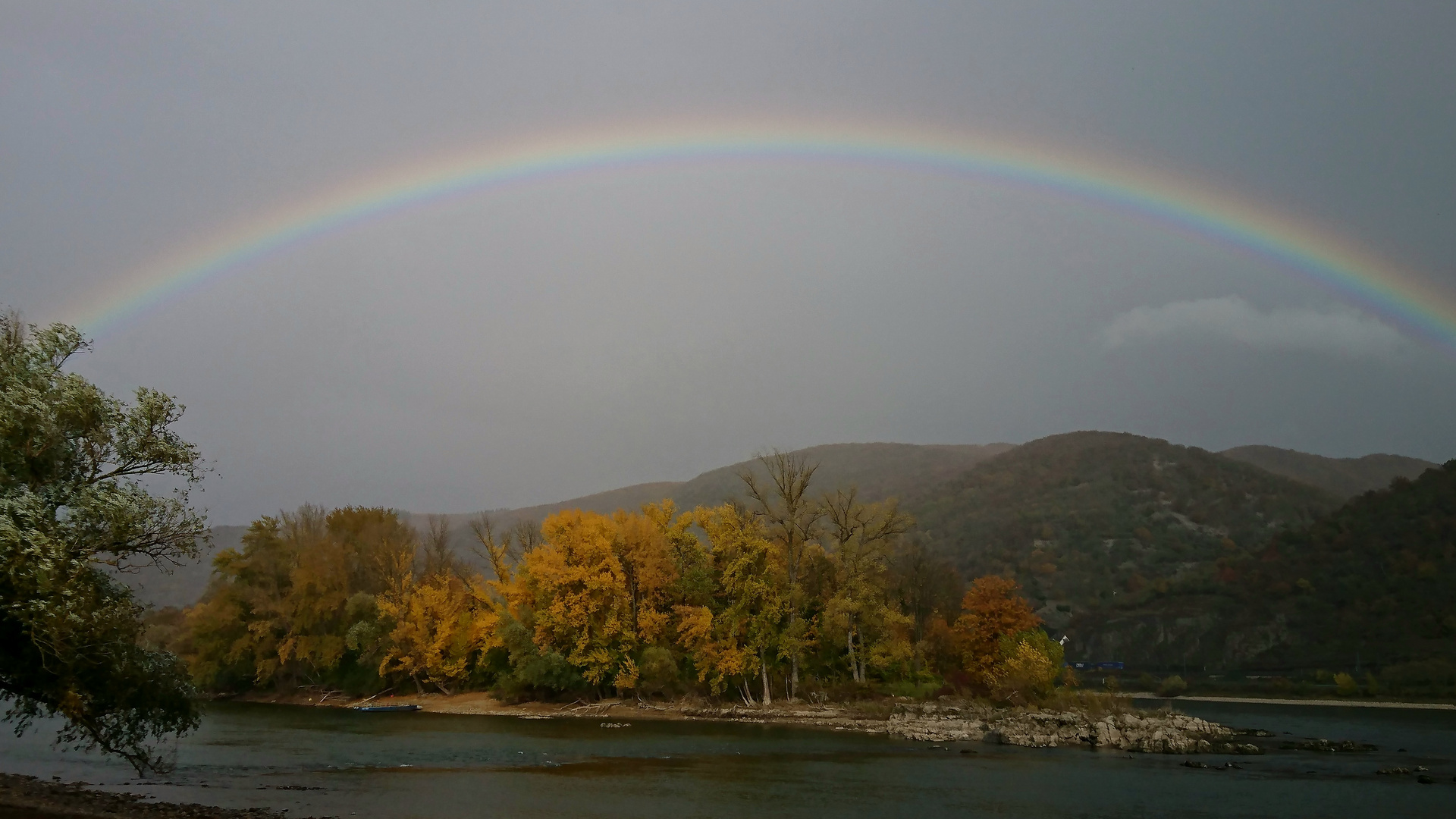 Regenbogen und "goldener Insel" am Rhein.