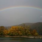 Regenbogen und "goldener Insel" am Rhein.