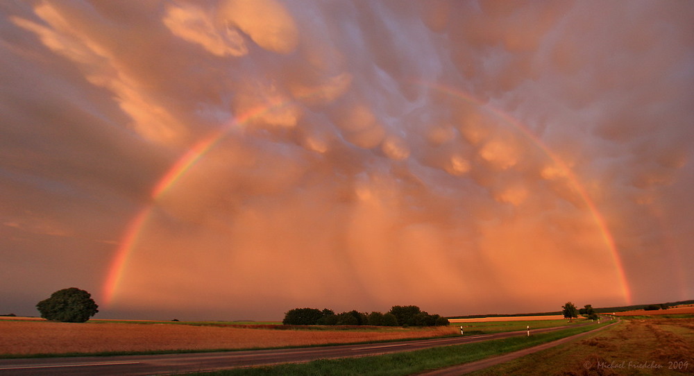 Regenbogen und Mamaten im Sonnenuntergang