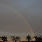 Regenbogen und Obstbäume