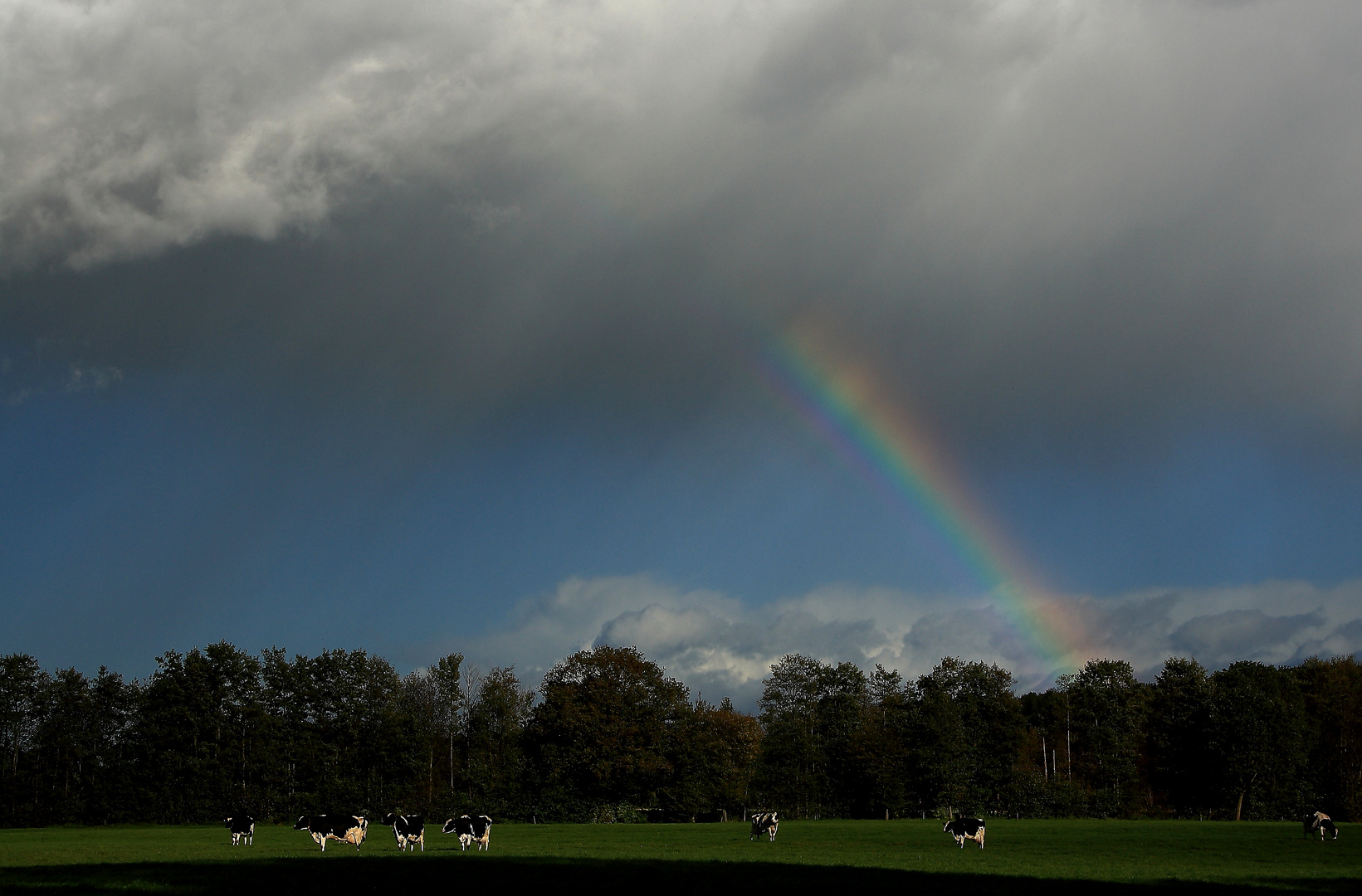 Regenbogen unter Schauerwolke