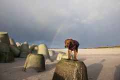 Regenbogen werden überbewertet 