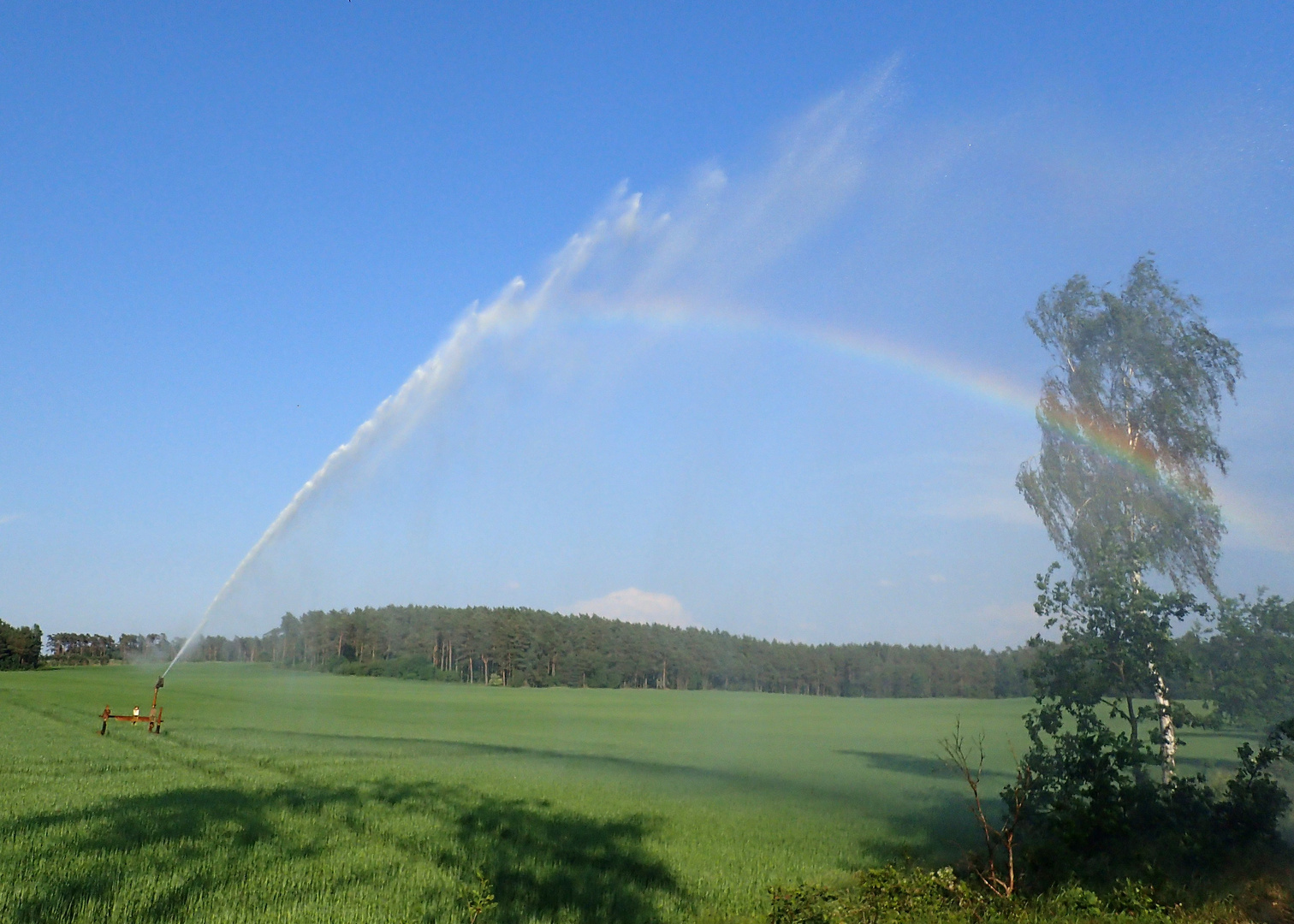 Regenbogen-Werfer