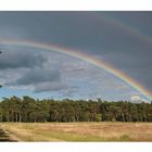 Regenbogen x 2