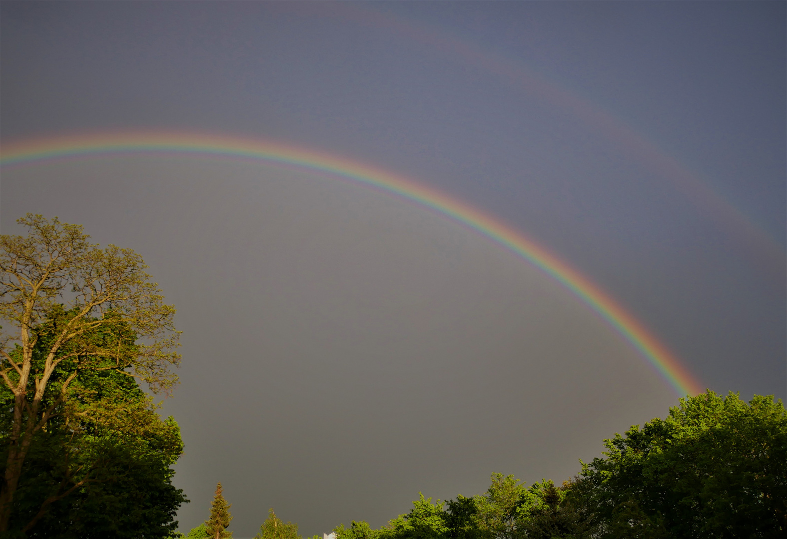 Regenbogen - Zeichen der Hoffnung