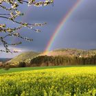 Regenbogen Zeit