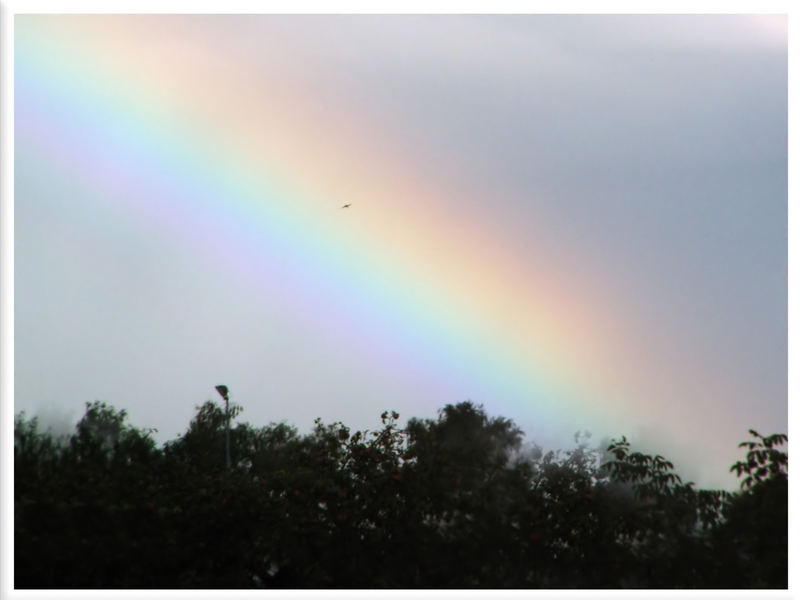 Regenbogen zum 2.