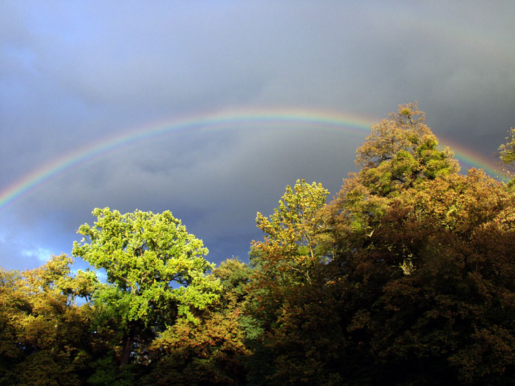 Regenbogen zur Hochzeit