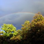 Regenbogen zur Hochzeit