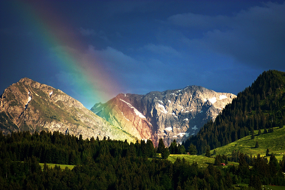 Regenbogen zur Hochzeit