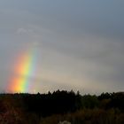 Regenbogen001