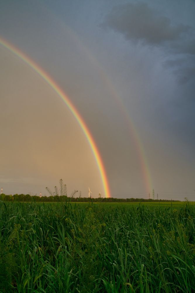 Regenbogen_011