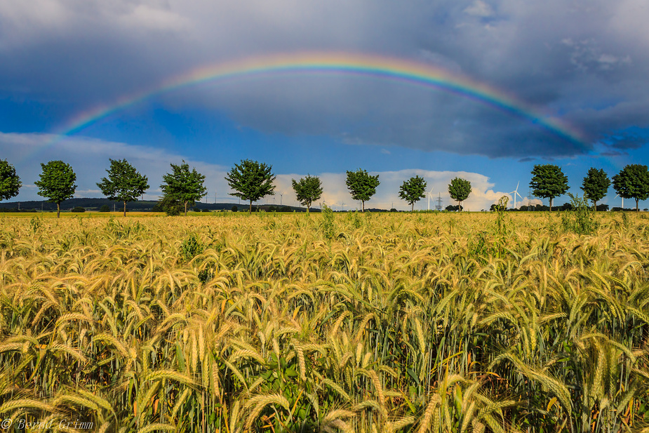 Regenbogen1