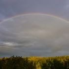 Regenbogen_10.10.2019_18.00H