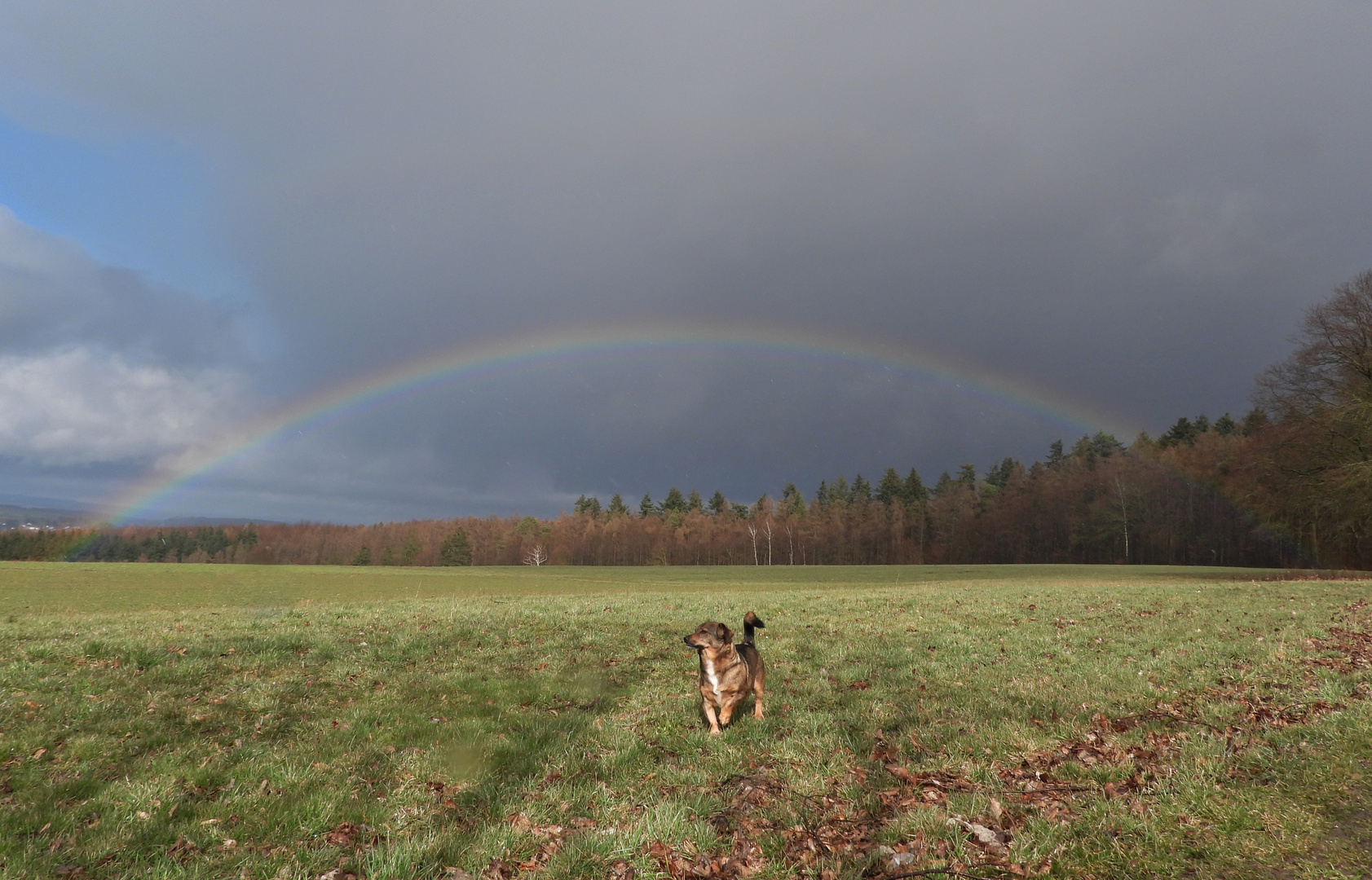 Regenbogen_14.03.2021