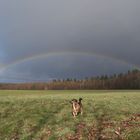 Regenbogen_14.03.2021