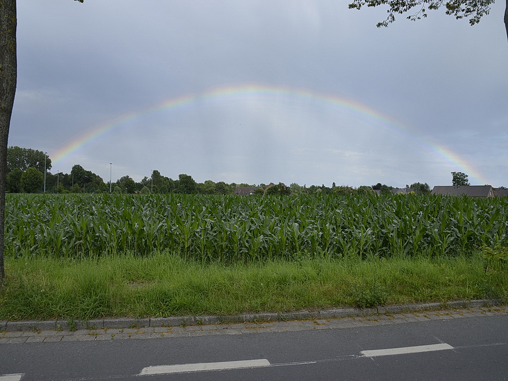 Regenbogen2