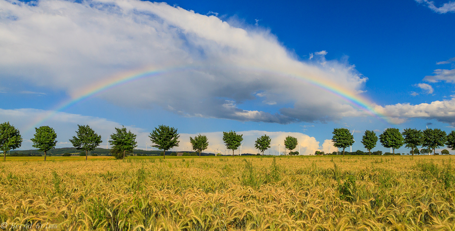 Regenbogen2