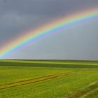 Regenbogenanschnitt