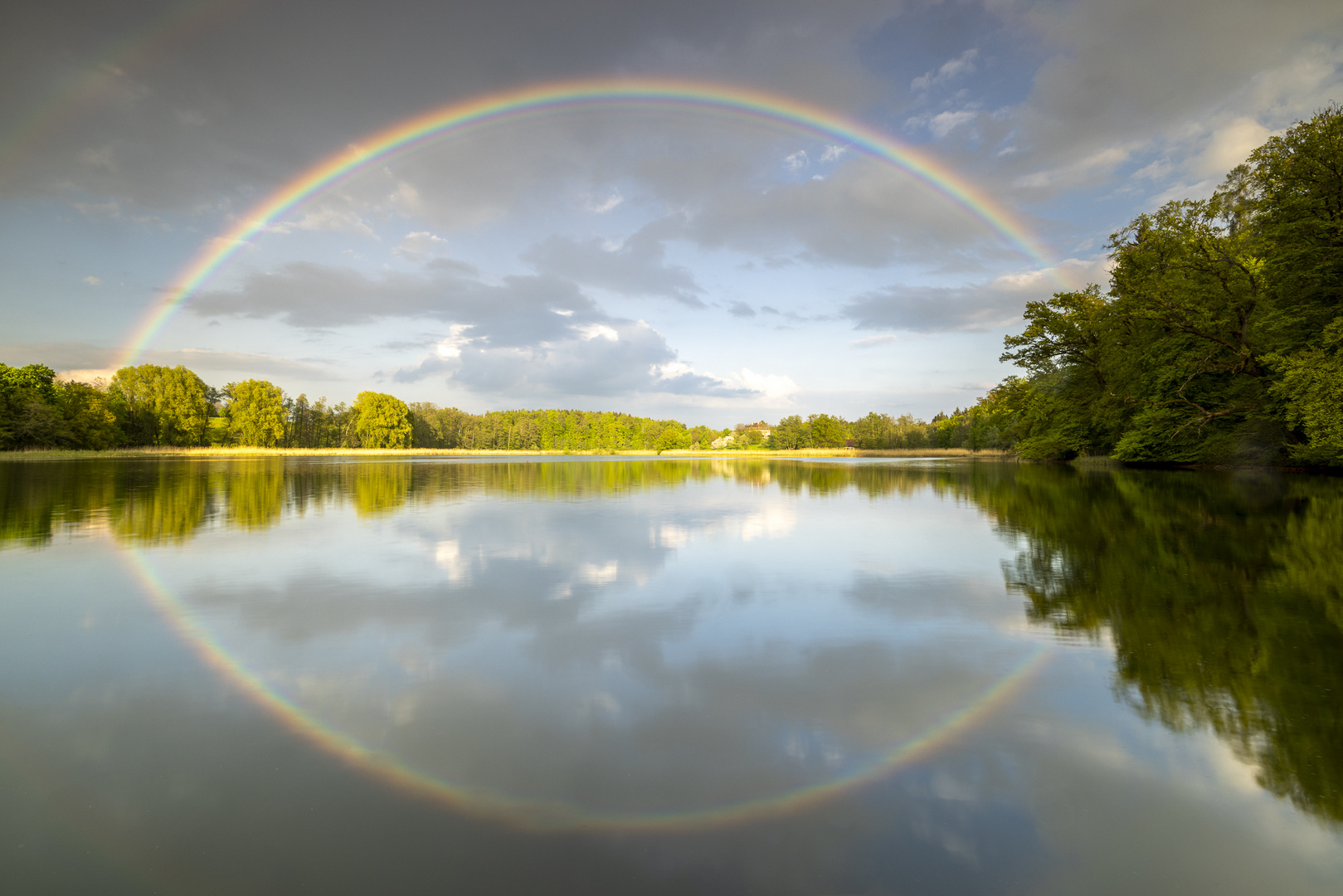 Regenbogenauge