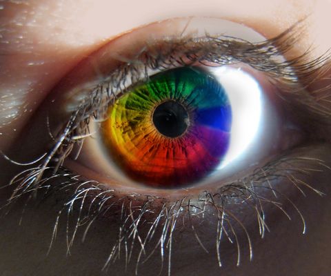 Regenbogenauge