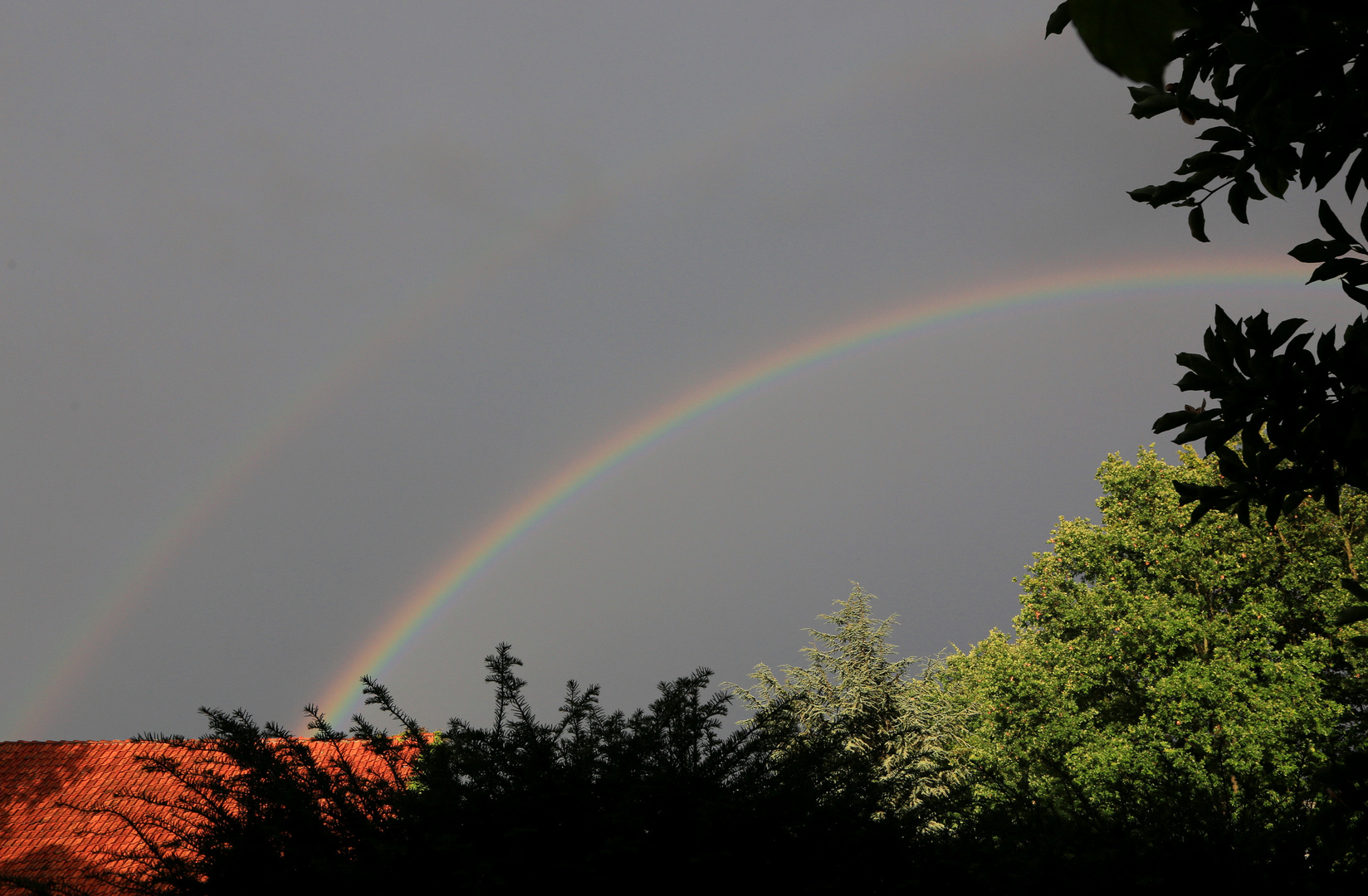 regenbogenbildung