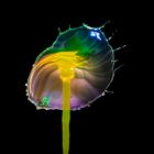 Regenbogenblume